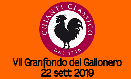 VII Granfondo del Gallonero